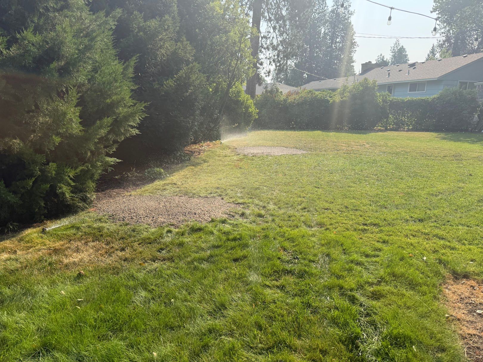 Same spot after grinding, cleared and freshly watered