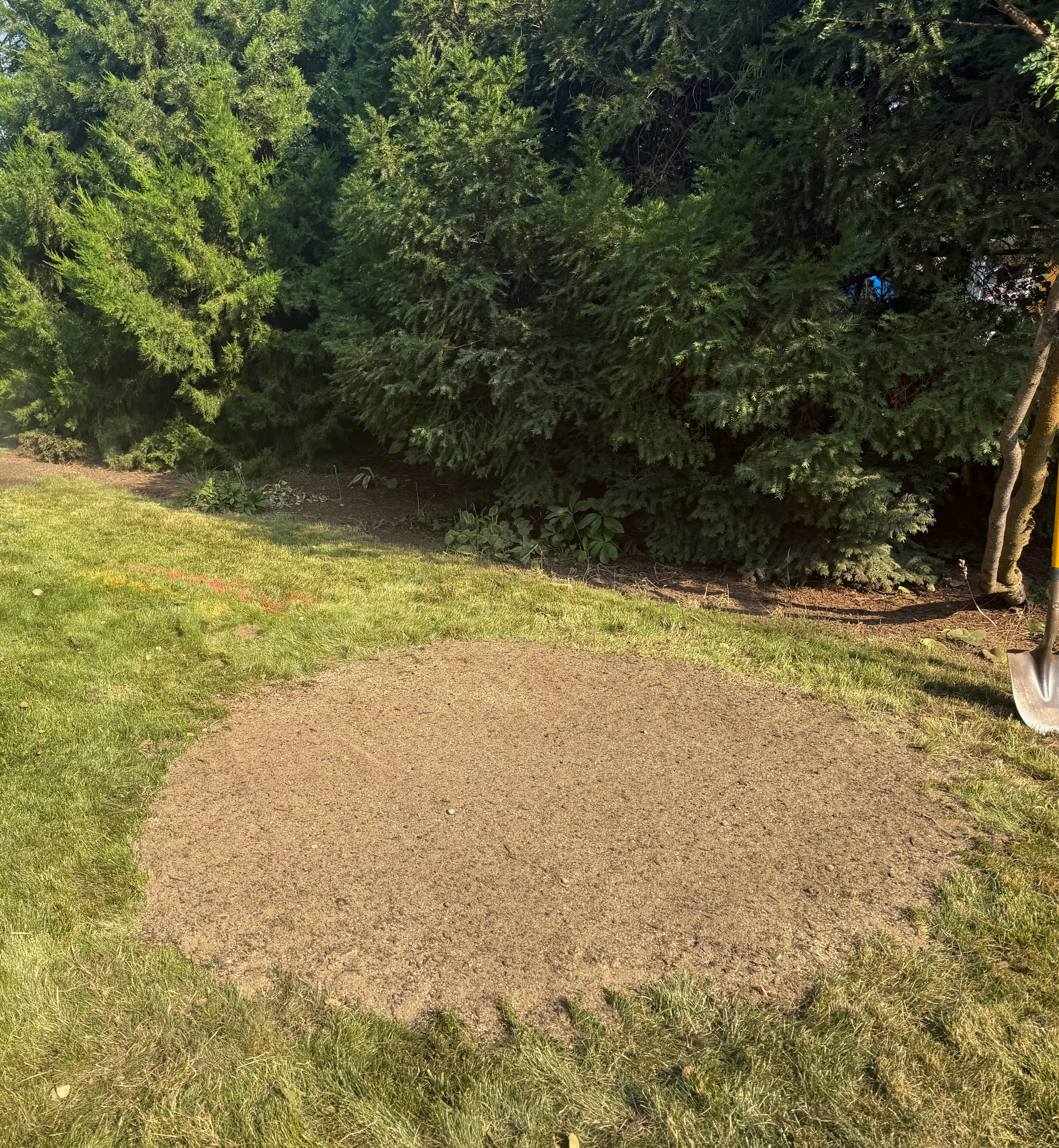 Ground leveled and graded after stump removal, ready for topsoil