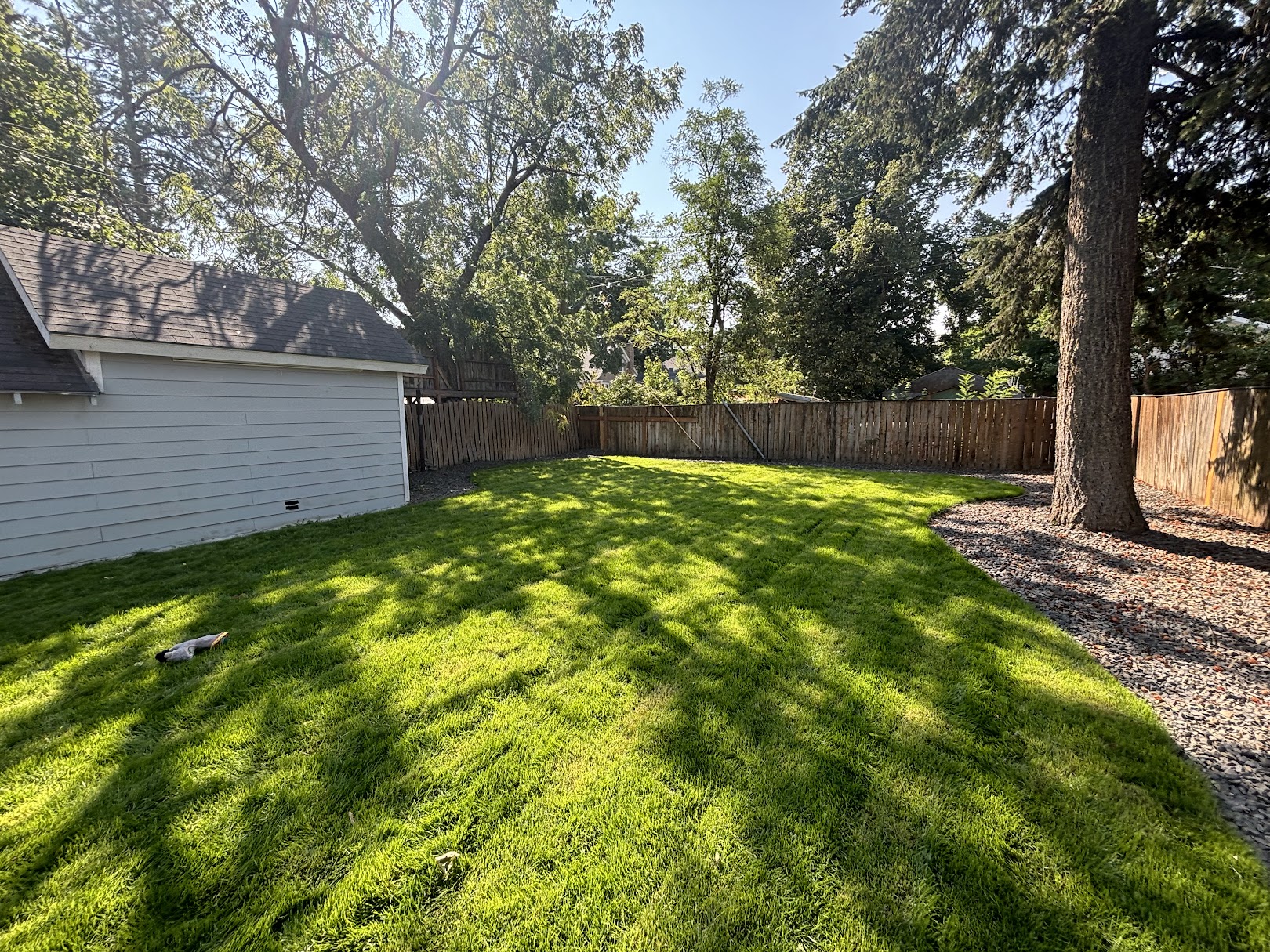Same backyard after the job, full green lawn grown in